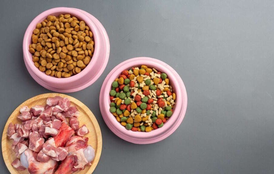 Beneficios de la Alimentación Premium para Mascotas: ¿Por qué elegir concentrados de alta calidad?