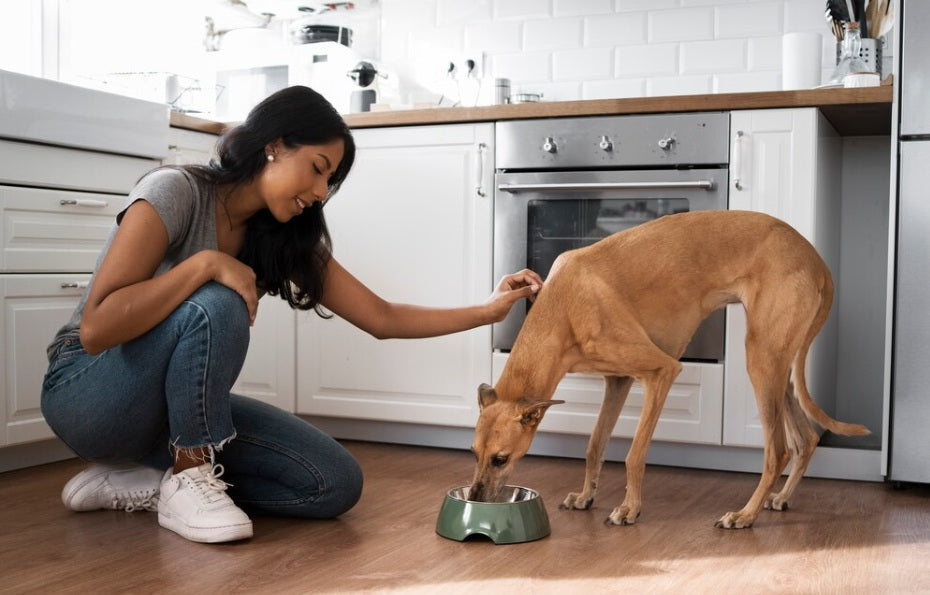 Agility Gold Grandes Adultos: La Mejor Nutrición para Perros de Raza Grande en Medellín