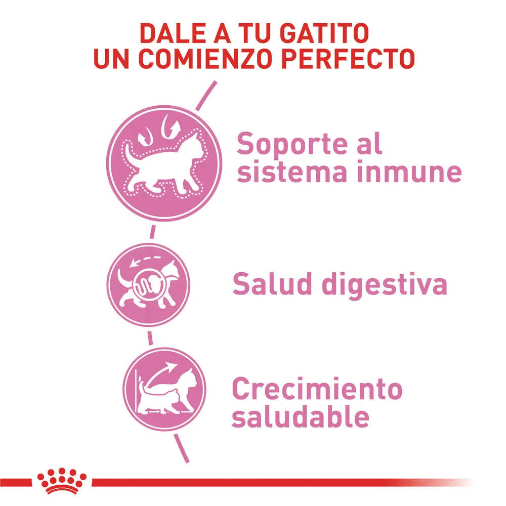 Alimento para gato -Royal Canin Kitten1