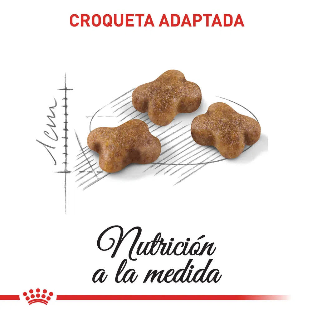 Alimento para gato -Royal Canin Kitten4