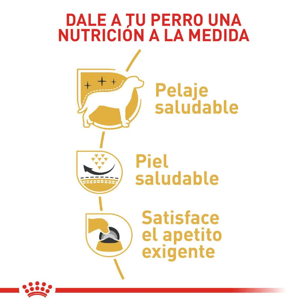 Alimento para perro -Royal Canin Westhighland White Terrier