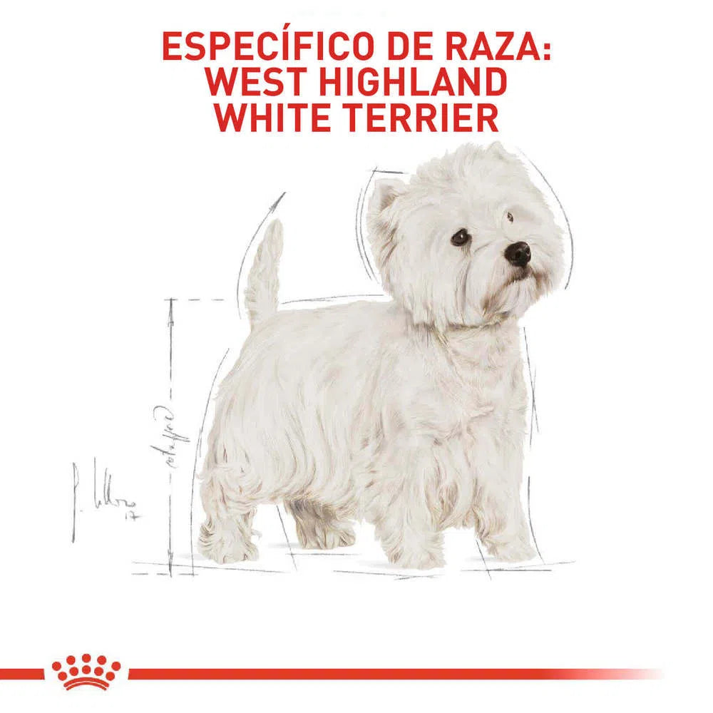 Alimento para perro -Royal Canin Westhighland White Terrier3