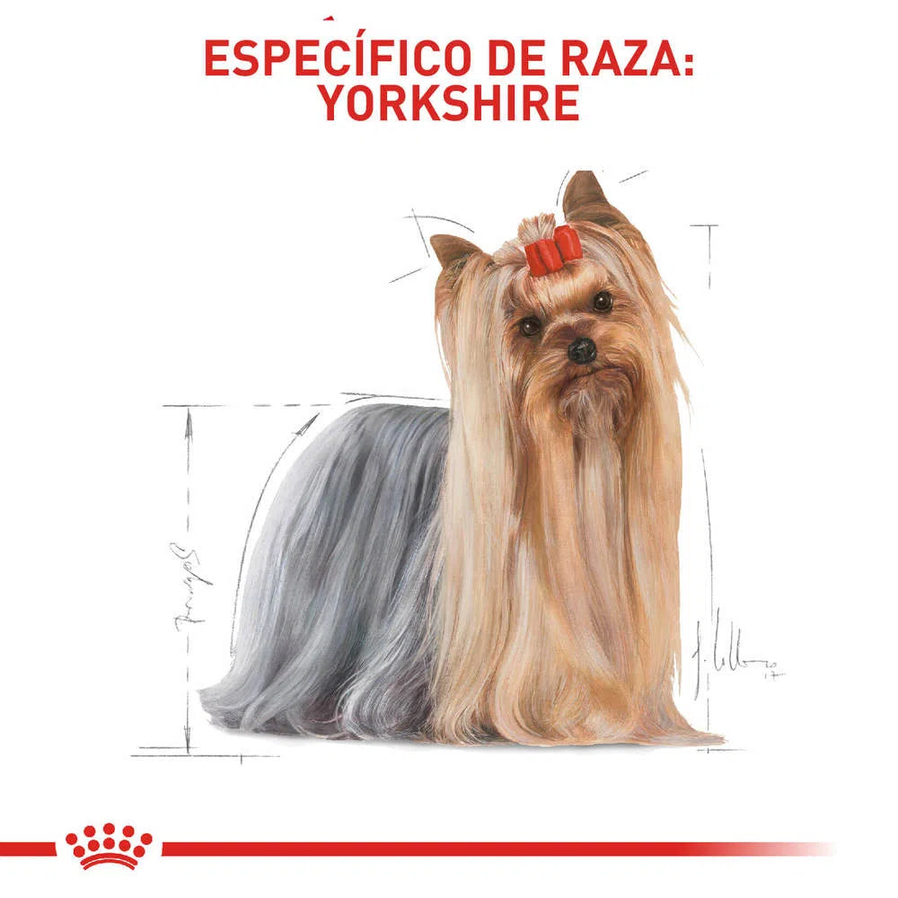 Alimento para perro -Royal Canin Yorkshire Terrier4