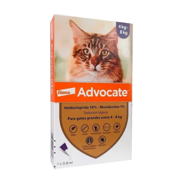 Antipulgas Advocate Gatos2