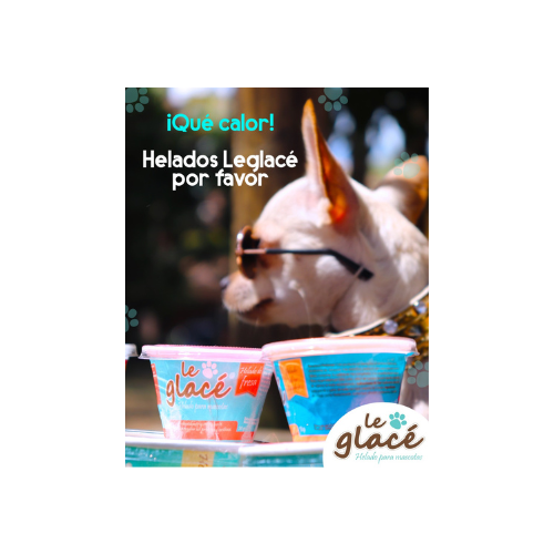 Helado De Zanahoria Para Perro 165 ML