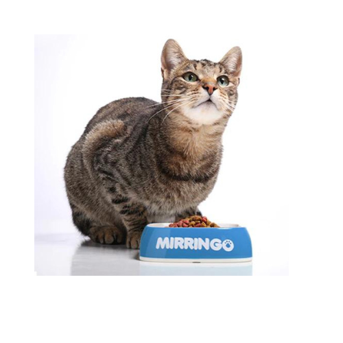 Mirringo Alimento Para Gato 15 KG