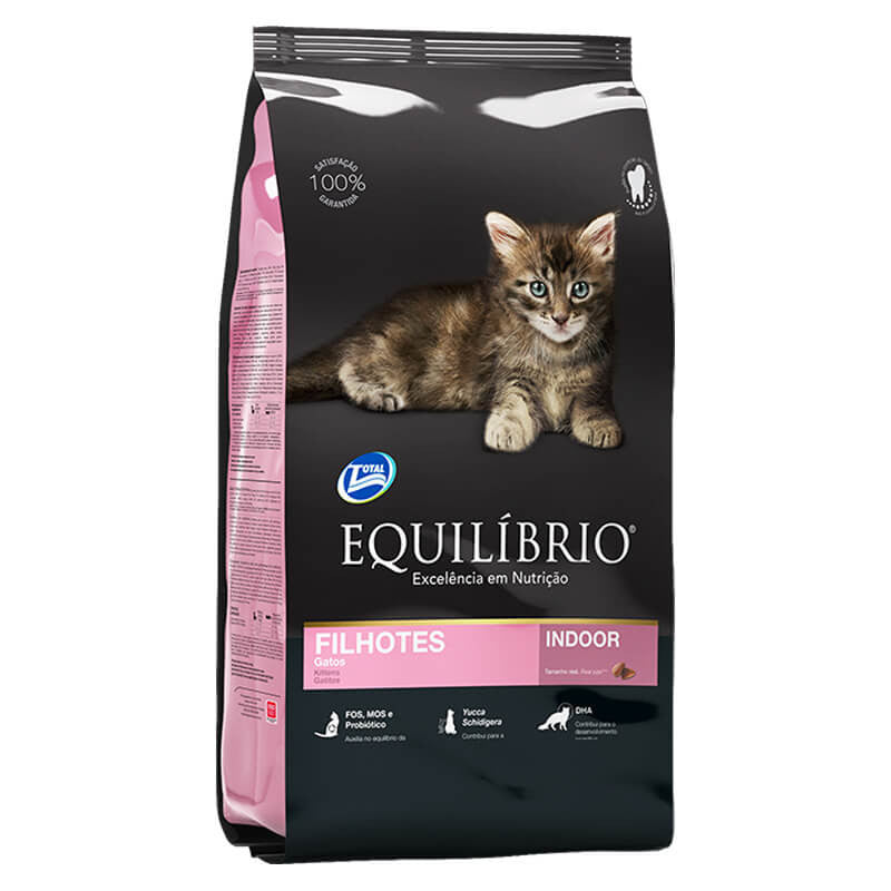 equilibrio-gatitos-indoor (1)